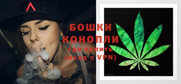 молекула духа Покровск