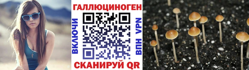 kraken ONION  Венёв  Псилоцибиновые грибы ЛСД 
